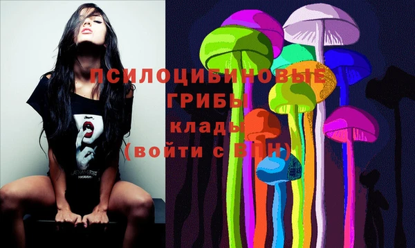 тгк Липки